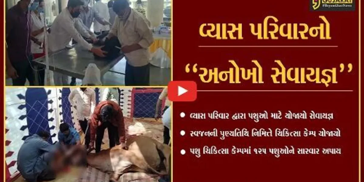ભાવનગર : રાજ્યમાં સૌપ્રથમ વખત યોજાયો પશુ ચિકિત્સા કેમ્પ, પશુઓને અપાય યોગ્ય સારવાર…