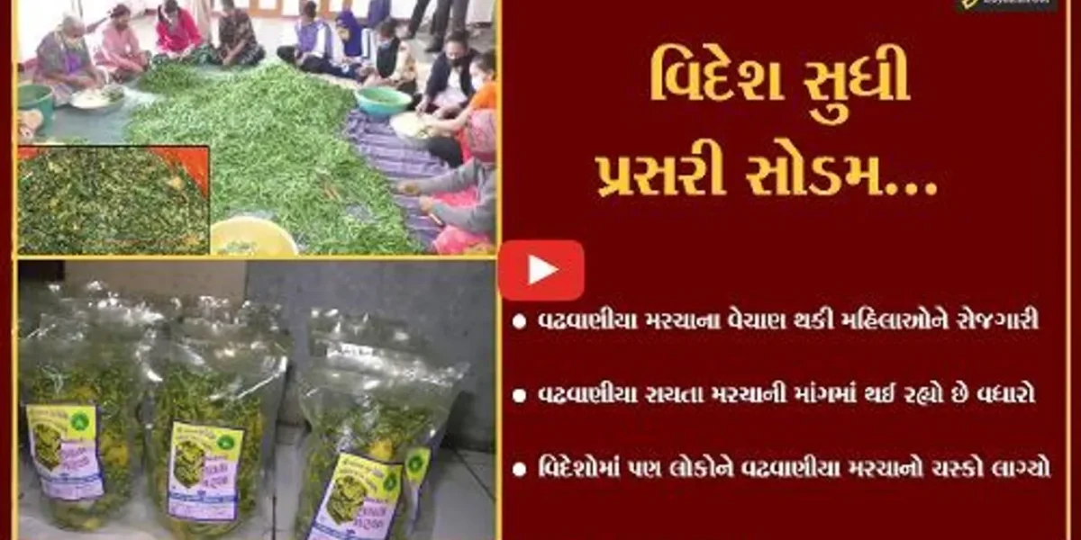 સુરેન્દ્રનગર : વઢવાણીયા રાયતા મરચાનું વેચાણ કરી રોજગારી મેળવતી મહિલાઓ, વિદેશોમાં પણ વધી છે માંગ…