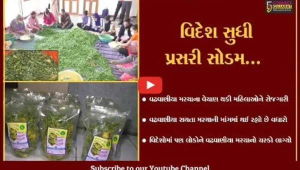 સુરેન્દ્રનગર : વઢવાણીયા રાયતા મરચાનું વેચાણ કરી રોજગારી મેળવતી મહિલાઓ, વિદેશોમાં પણ વધી છે માંગ…