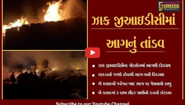 અમદાવાદ : ઝાકમાં ટીમ્બરના ગોડાઉનમાં ભીષણ આગ, 2 લાખ લીટર પાણીનો છંટકાવ