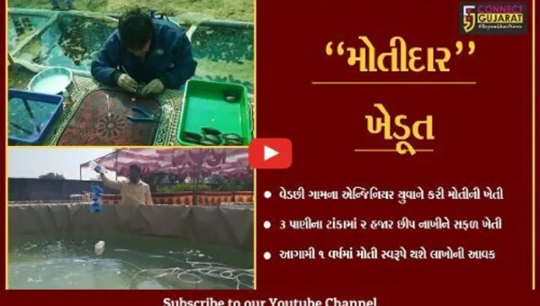 તાપી : વેડછી ગામનો એન્જિનિયર યુવાન બન્યો “મોતીદાર” ખેડૂત, પાણીના ટાંકામાં મોતીની સફળ ખેતી કરી.