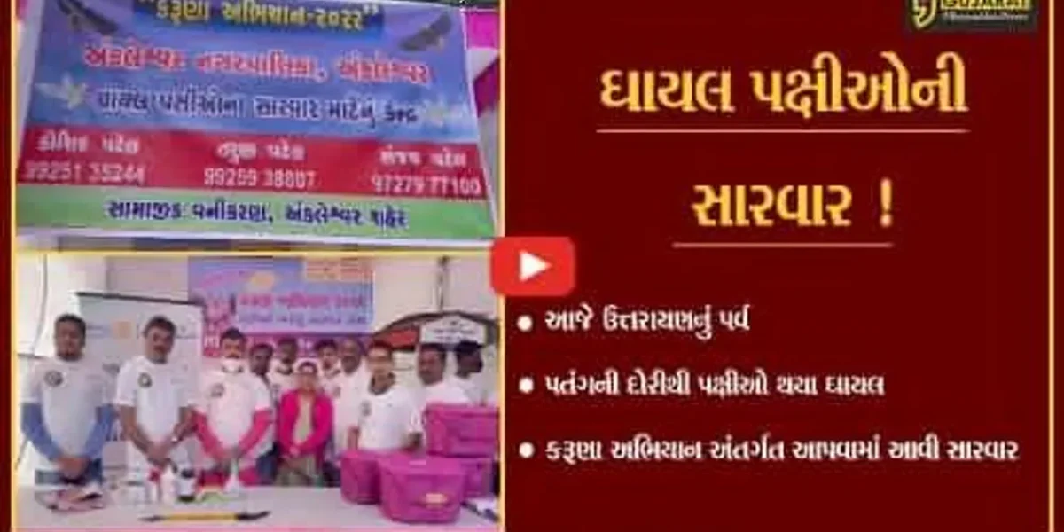ભરૂચ: કરૂણા અભિયાન અંતર્ગત ઠેર ઠેર કેમ્પ ઉભા કરાયા,ઘાયલ પક્ષીઓની કરાય સારવાર