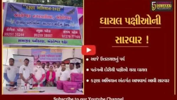 ભરૂચ: કરૂણા અભિયાન અંતર્ગત ઠેર ઠેર કેમ્પ ઉભા કરાયા,ઘાયલ પક્ષીઓની કરાય સારવાર