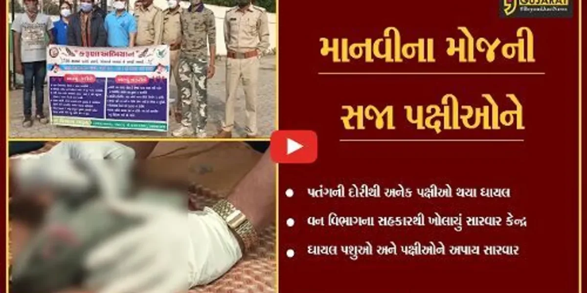 ભરૂચ : રોટરી કલબ ખાતે ઉભું કરાયું દવાખાનું, ઘાયલ પક્ષીઓની કરાય સારવાર