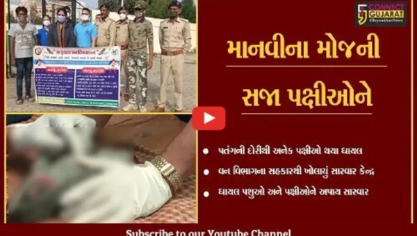 ભરૂચ : રોટરી કલબ ખાતે ઉભું કરાયું દવાખાનું, ઘાયલ પક્ષીઓની કરાય સારવાર