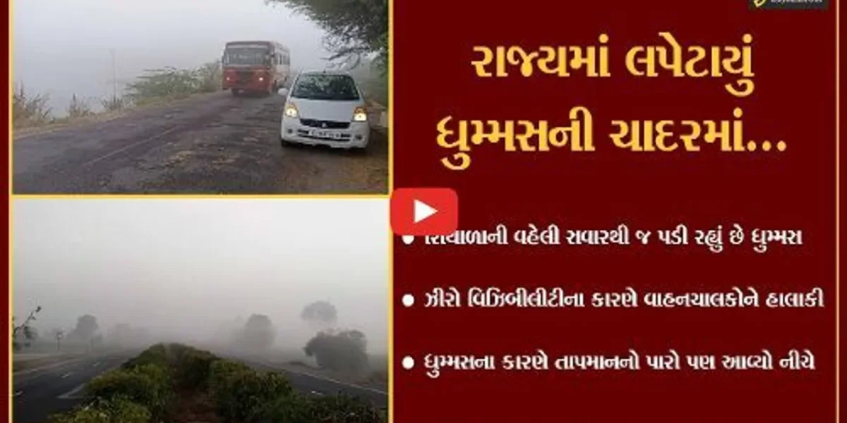 ધુમ્મસની ચાદરમાં લપેટાયું ગુજરાત, તાપમાનનો પારો પણ નીચે આવ્યો…
