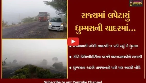 ધુમ્મસની ચાદરમાં લપેટાયું ગુજરાત, તાપમાનનો પારો પણ નીચે આવ્યો…