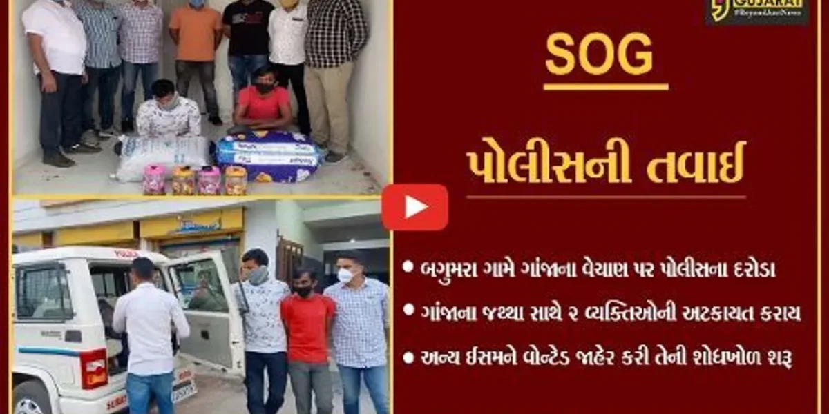 સુરત : બગુમરા ગામે 2 ઇસમો કરતાં હતા ગાંજાનું વેચાણ, SOG પોલીસે ઝડપી પાડ્યા…