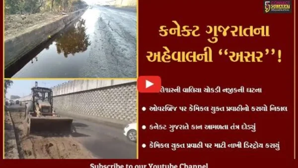 અંકલેશ્વર : વાલિયા ચોકડી નજીક રસાયણ યુક્ત પ્રવાહીની નદી વહી,કનેક્ટ ગુજરાતે તંત્રના કાન આમળ્યા