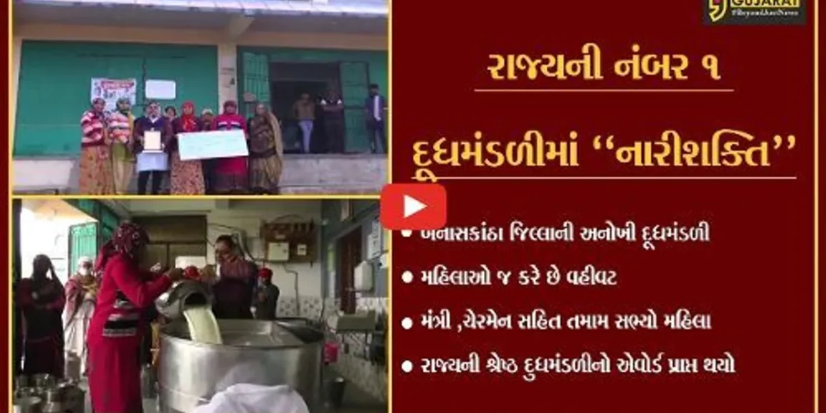 બનાસકાંઠા: નારીશક્તિના હાથમાં દૂધ મંડળીની કમાન,મહિલાઓ જ કરે છે વહીવટ