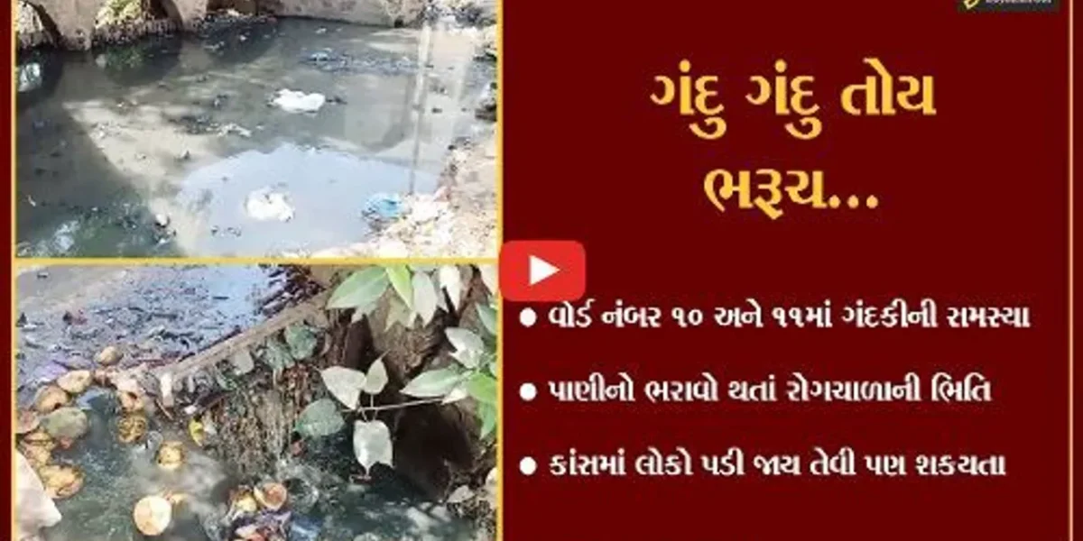 ભરૂચ : શહેરની મુખ્ય કાંસ જ સફાઇથી વંચિત, પાણીનો નિકાલ અટકયો