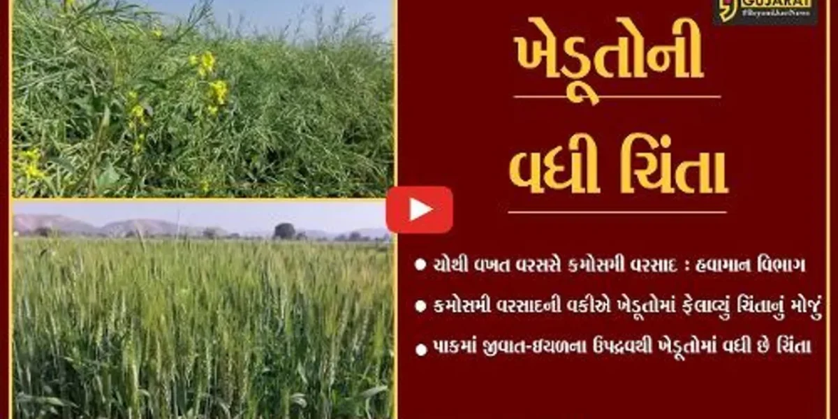 સાબરકાંઠા : કમોસમી વરસાદની વકીએ ધરતીપુત્રોની ચિંતા વધારી, પાકને નુકશાન જવાની ભીતિ..!