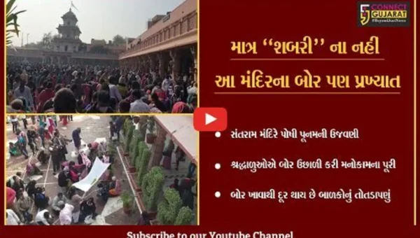 ખેડા : સંતરામ મંદિરમાં ઉછાળવામાં આવ્યા બોર, જુઓ લોકોએ કેમ કરી બોર લેવા પડાપડી
