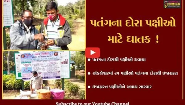 ભરૂચ : અંકલેશ્વરમાં 4 દિવસમાં 25 પક્ષીઓ પતંગના દોરાથી ઘવાયા,સારવાર આપી મુક્ત કરાયા