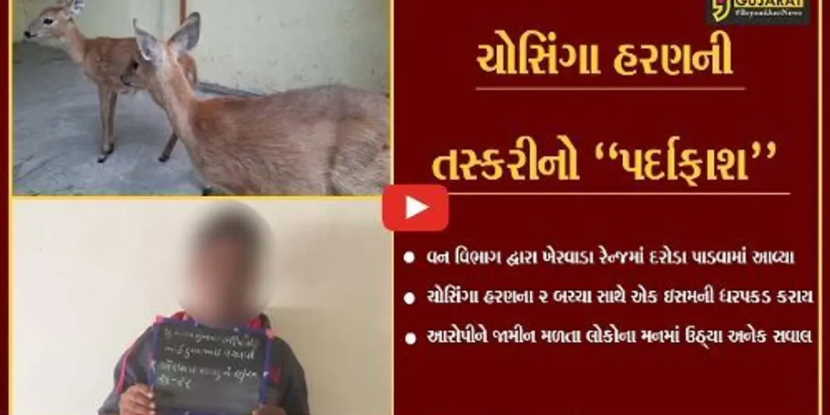 તાપી : ચોસિંગા હરણના 2 બચ્ચા સાથે વન વિભાગે કરી એક ઇસમની ધરપકડ…