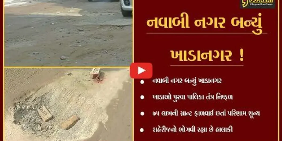 બનાસકાંઠા: પાલનપૂર શહેર બન્યું ખાડાનગર, રૂ.75 લાખની ગ્રાન્ટ ફાળવાય છતા પરિણામ શુન્ય