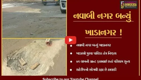 બનાસકાંઠા: પાલનપૂર શહેર બન્યું ખાડાનગર, રૂ.75 લાખની ગ્રાન્ટ ફાળવાય છતા પરિણામ શુન્ય