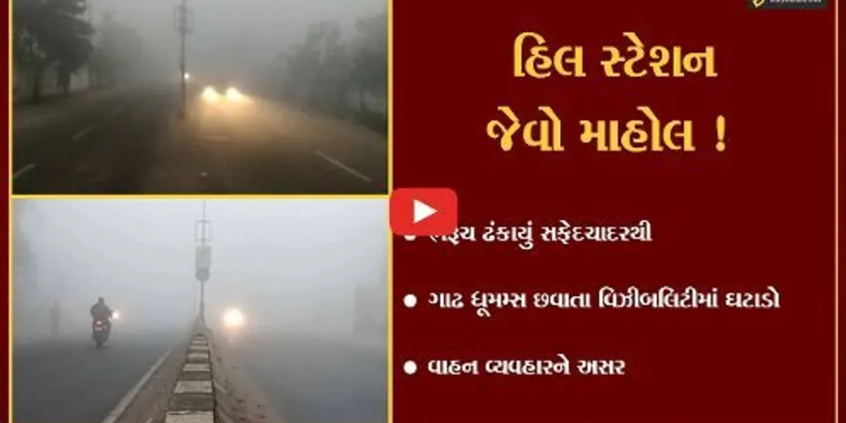 ભરૂચ: ગાઢ ધૂમમ્સ છવાતા વિઝિબીલિટીમાં ઘટાડો,જુઓ હિલ્સસ્ટેશન જેવો માહોલ