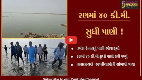 સુરેન્દ્રનગર: નર્મદાનું પાણી 40 કિ.મી.રણમાં ફરી વળતા ધારાસભ્યએ 3 કિ.મી. કાદવમાં ચાલીને અગરિયાની વ્યથા સમજી