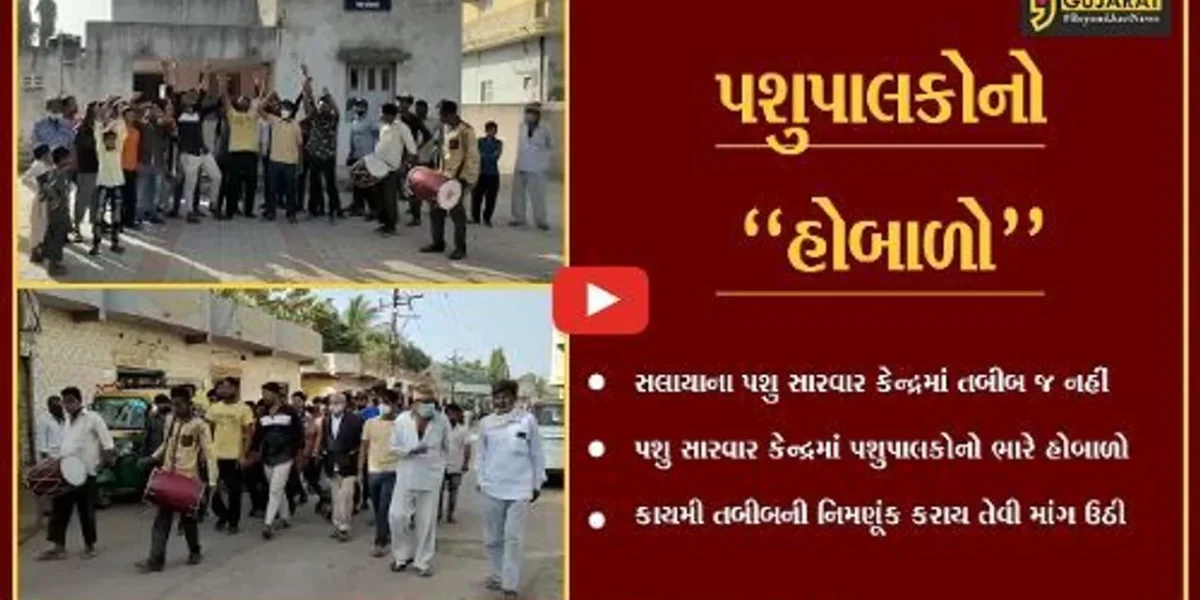 દેવભૂમિ દ્વારકા : સલાયાના પશુ સારવાર કેન્દ્રમાં પશુપાલકો તો આવે છે, પણ તબીબ નહીં..!