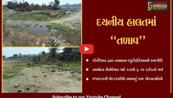 વડોદરા : છાણી ગામ તળાવની હાલત દયનીય, કરોડોના ખર્ચે ચાલતી કામગીરી ગોકળગતિએ…
