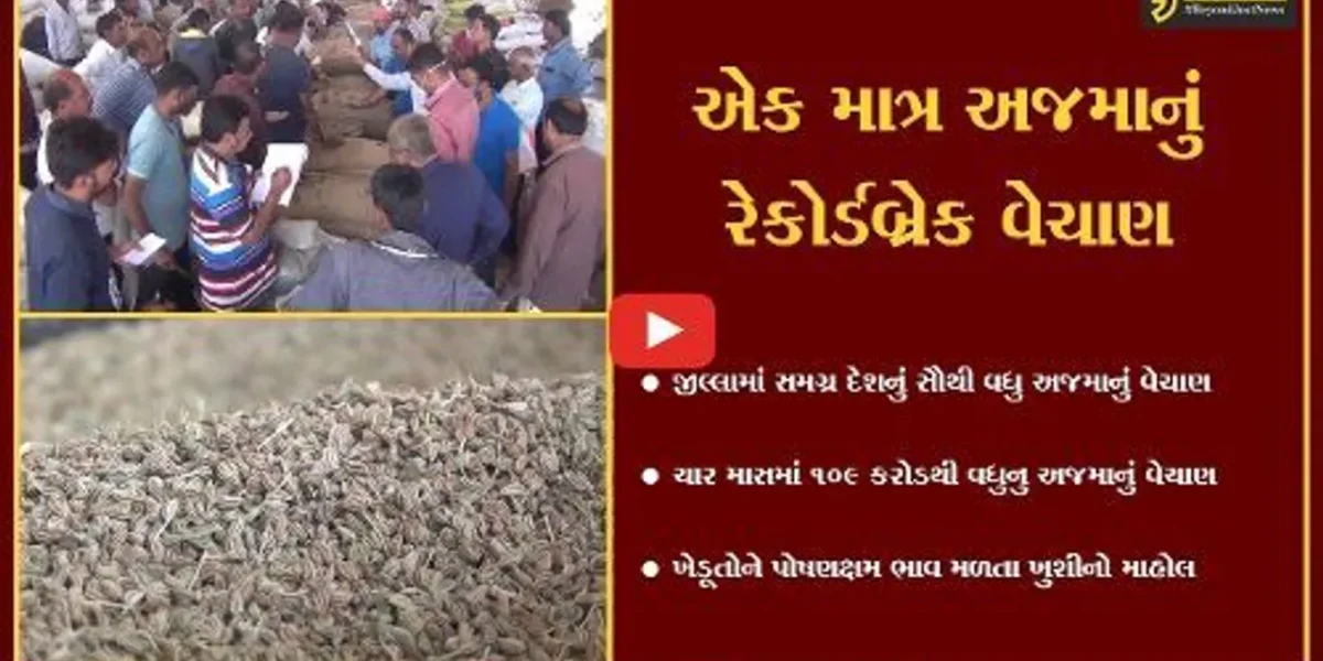 જામનગર : માર્કેટયાર્ડમાં સમગ્ર ભારતનું સૌથી વધુ અજમાનું થયું રેકોર્ડબ્રેક વેચાણ,ખેડૂઓમાં ખુશી વ્યાપી