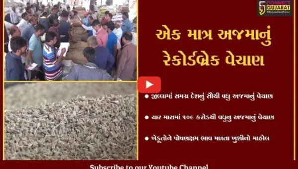 જામનગર : માર્કેટયાર્ડમાં સમગ્ર ભારતનું સૌથી વધુ અજમાનું થયું રેકોર્ડબ્રેક વેચાણ,ખેડૂઓમાં ખુશી વ્યાપી
