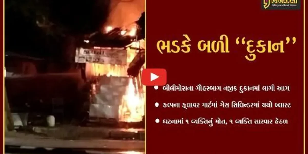 નવસારી : દુકાનમાં આગ લાગતાં ગેસના સિલિન્ડરમાં પ્રચંડ બ્લાસ્ટ, 1 વ્યક્તિનું મોત…