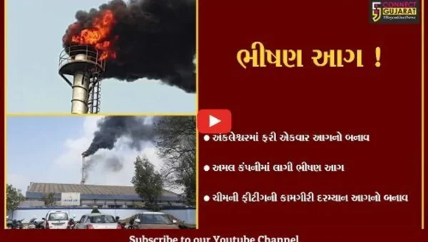ભરૂચ:અંકલેશ્વર જીઆઈડીસીની અમલ લિમિટેડ કંપનીમાં ભીષણ આગ,કોઈ જાનહાની નહીં