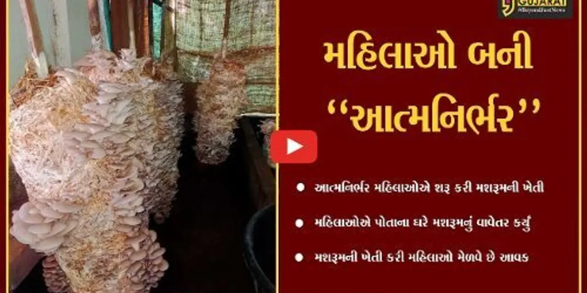 ડાંગ : મહિલાઓએ મકાનમાં જ શરૂ કરી મશરૂમની ખેતી, મબલક આવક મેળવી બની આત્મનિર્ભર