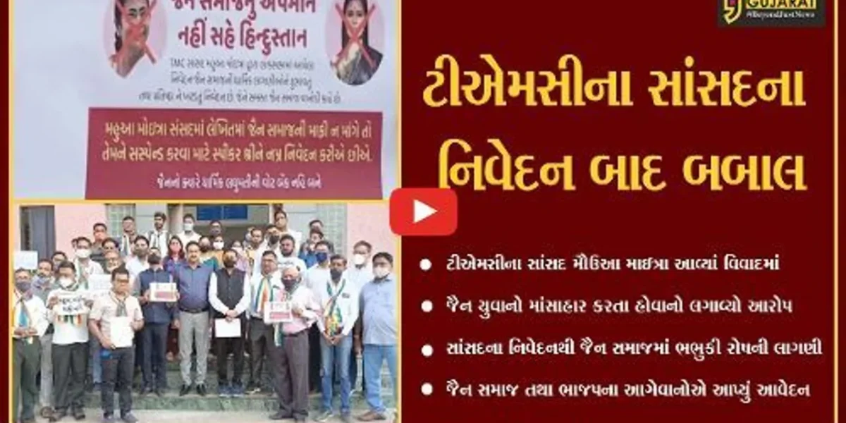 ભરૂચ : શું જૈન સમાજના યુવાનો માંસાહારી છે ? સાંસદના નિવેદન સામે આક્રોશ