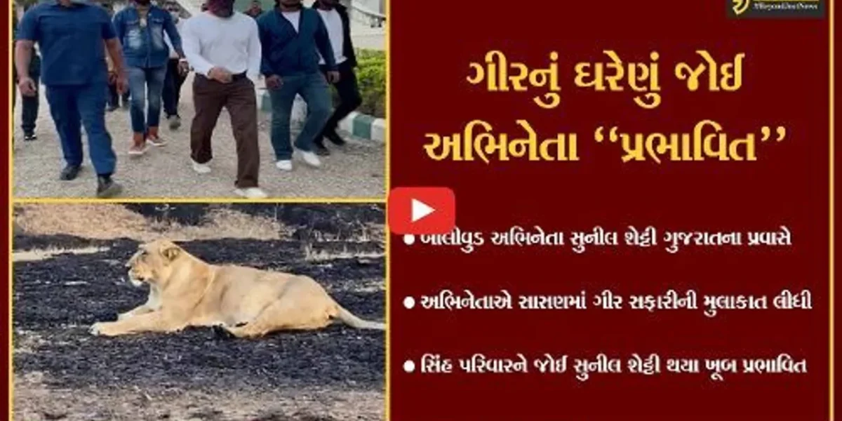 બોલીવુડ અભિનેતા સુનીલ શેટ્ટી ગુજરાતના પ્રવાસે, ગીરનું ઘરેણું એવા સિંહ પરિવારને જોઈ થયા પ્રભાવિત