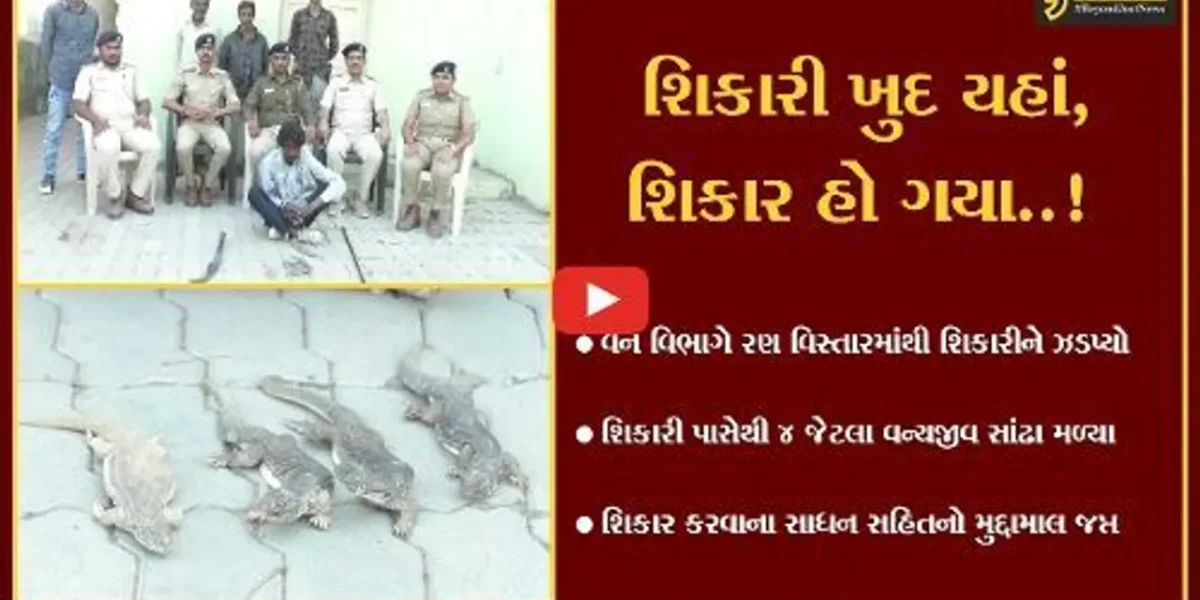 સુરેન્દ્રનગર : રણ વિસ્તારમાંથી વન્યજીવ સાંઢા સાથે વન વિભાગે કરી શિકારીની ધરપકડ…