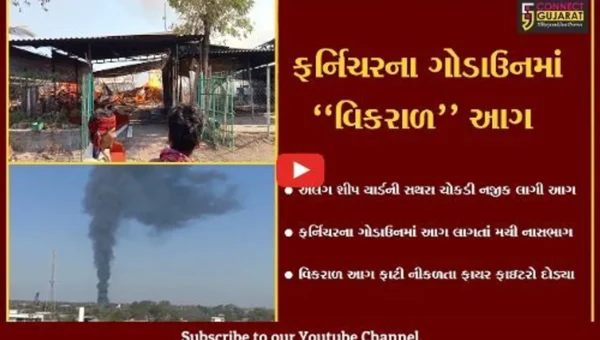 ભાવનગર : અલંગ શીપ યાર્ડ નજીક ફર્નિચરના ગોડાઉનમાં લાગી આગ, ફાયર ફાઇટરો દોડ્યા…