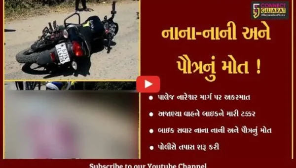 વડોદરા: પાલેજ નારેશ્વર માર્ગ પર અજાણ્યા વાહનની ટક્કરે બાઇક સવાર નાના-નાની અને પૌત્રનું મોત