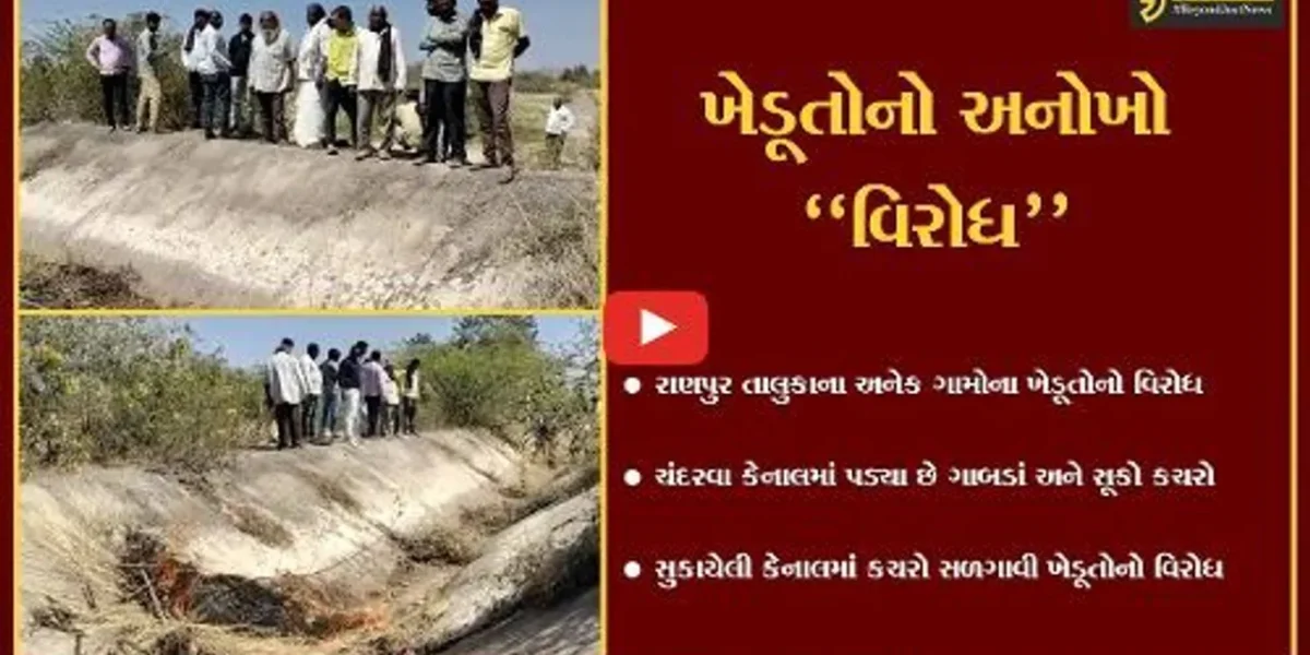 બોટાદ : ચંદરવા માઈનોર કેનાલમાં ખેડૂતોએ કચરો સળગાવી નોંધાવ્યો વિરોધ, પાણી વિના પાક નિષ્ફળ જવાની ભીતિ