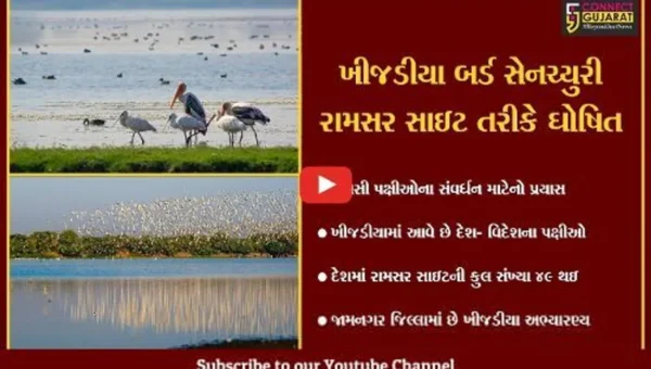 જામનગર : ખીજડીયા અભ્યારણ્ય રામસર સાઇટ તરીકે જાહેર, જુઓ શું છે રામસર સાઇટ