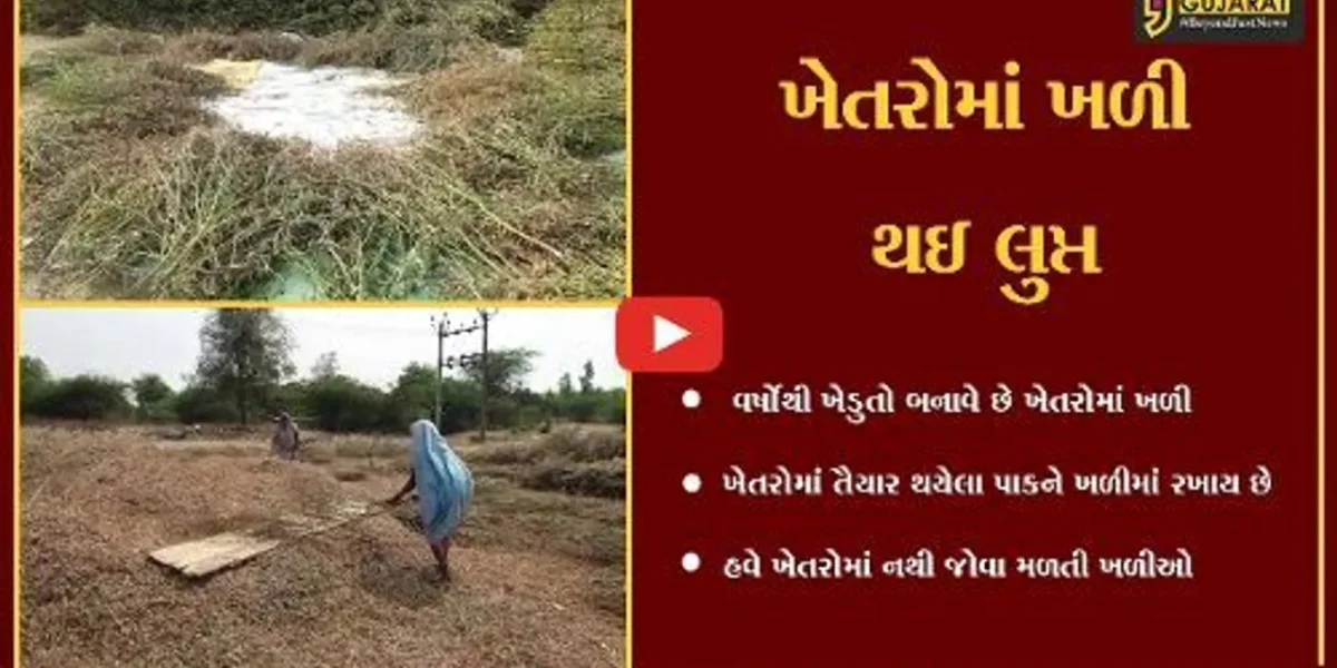 અંકલેશ્વર : ખેતરોમાં હવે ખળી બનાવવાની પ્રથા લુપ્ત, જુની પરંપરા જાળવવા ખેડુતોને અપીલ