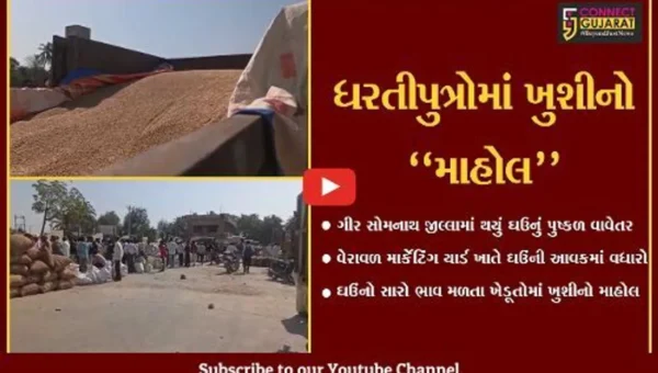 ગિર સોમનાથ : વેરાવળ માર્કેટિંગ યાર્ડ ઘઉંથી ઉભરાય, સારા ભાવ મળતા ખેડૂતોમાં ખુશી…