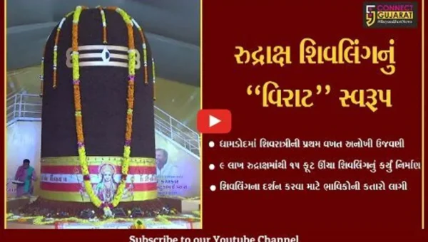 સુરત : 9 લાખ રુદ્રાક્ષમાંથી 15 ફૂટ ઊંચા શિવલિંગનું નિર્માણ, ધામડોદ ગામે ઉમટ્યા શિવભક્તો…