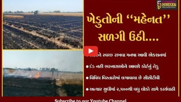ગીર સોમનાથ : કોડીનારના સરખડીમાં ભીષણ આગ, 50 વિંઘામાં થયેલો ઘઉંનો પાક નષ્ટ