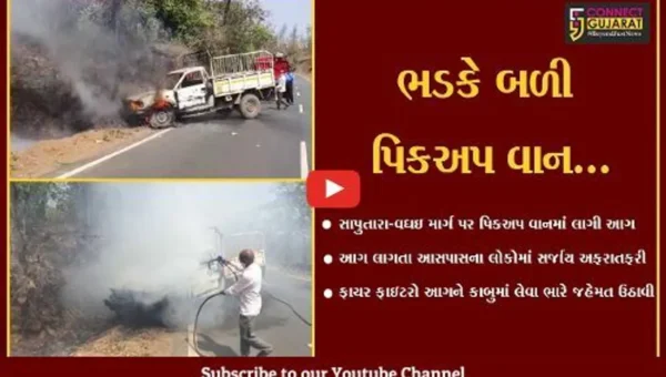 ડાંગ : ઇલેક્ટ્રીક સામાન ભરેલી પિકઅપ વાનમાં આગ ફાટી નીકળી, ફાયર ફાઇટરો દોડ્યા…