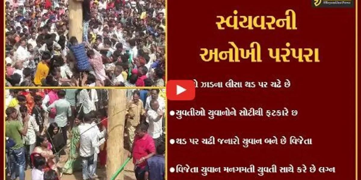દાહોદ : મનગમતી યુવતીને પામવા યુવાનો ખાય છે માર, જુઓ ગોળ ગધેડાનો કેવો હોય છે મેળો