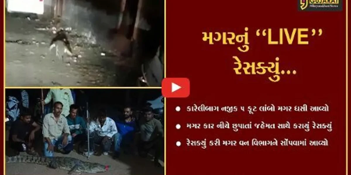 વડોદરા : 5 ફૂટ લાંબો મગર કાર નીચે ઘુસતાં રેસક્યું કરાયું, જુઓ “LIVE” રેસ્ક્યું…