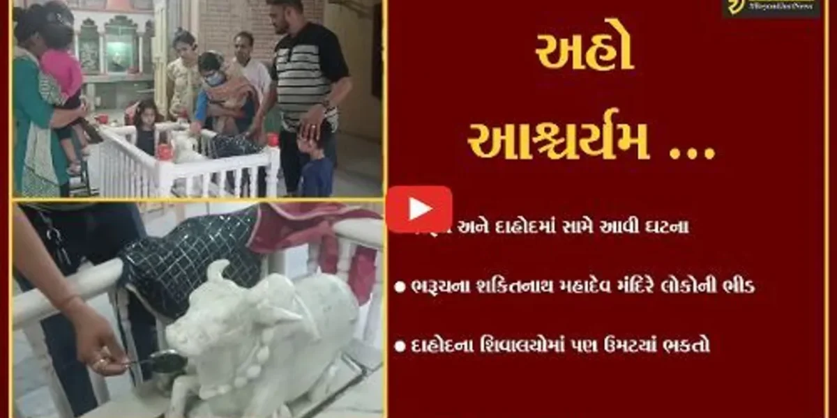 વાત હોય શ્રધ્ધાની તો પુરાવાની શી જરૂર : નંદીની પ્રતિમાએ પાણી પીધું હોવાની વાત “વાયરલ”