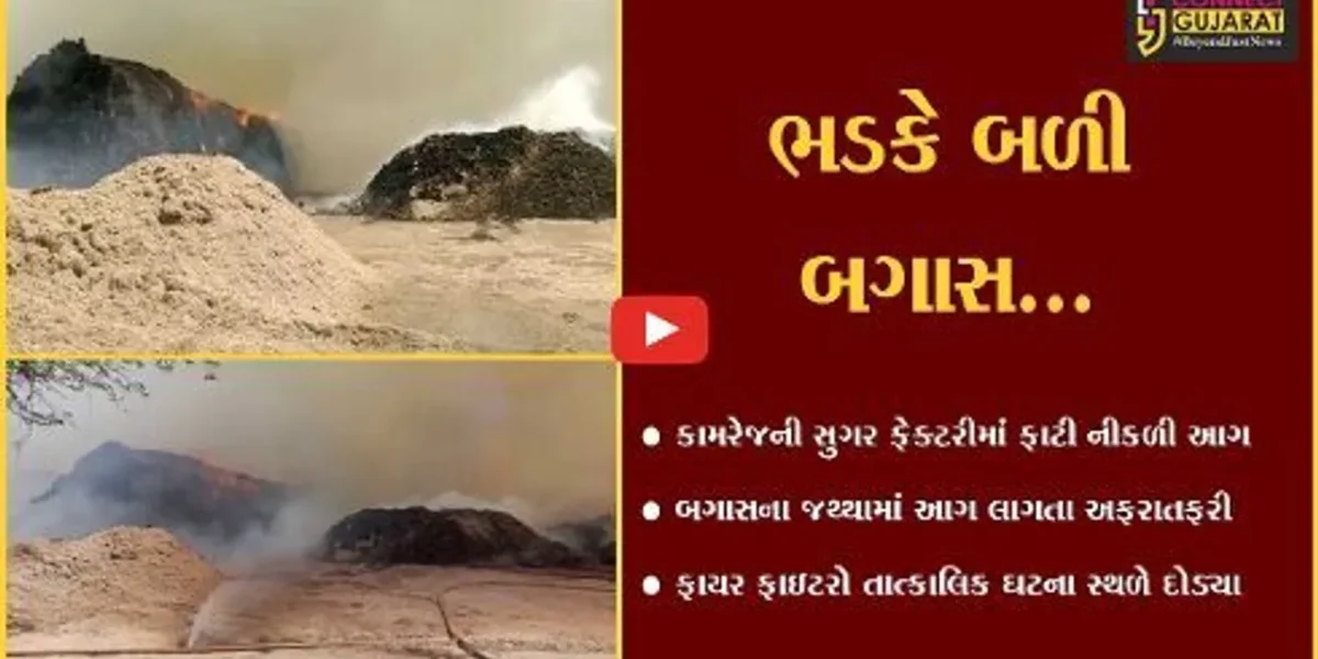 સુરત : કામરેજની સુગર ફેક્ટરીમાં રહેલ બગાસના જથ્થામાં ફાટી નીકળી આગ, ફાયર ફાઇટરો દોડ્યા