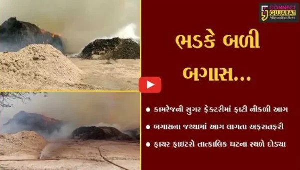 સુરત : કામરેજની સુગર ફેક્ટરીમાં રહેલ બગાસના જથ્થામાં ફાટી નીકળી આગ, ફાયર ફાઇટરો દોડ્યા