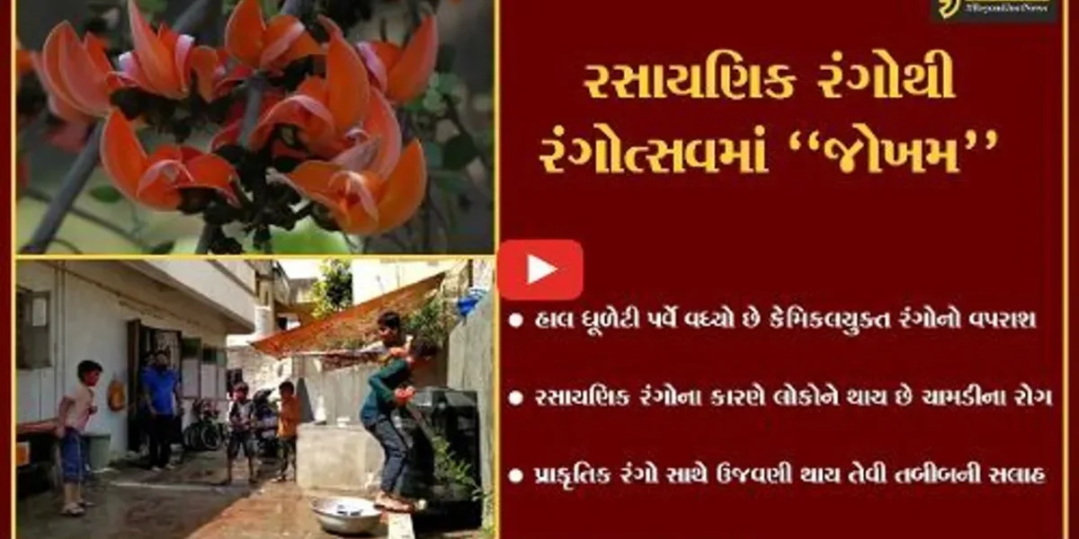 ભરૂચ : હોળી-ધૂળેટી પર્વે થતો કેમિકલયુક્ત રંગોનો વપરાશ “જોખમી”, પ્રાકૃતિક રંગોથી ઉજવણી કરવા તબીબની સલાહ