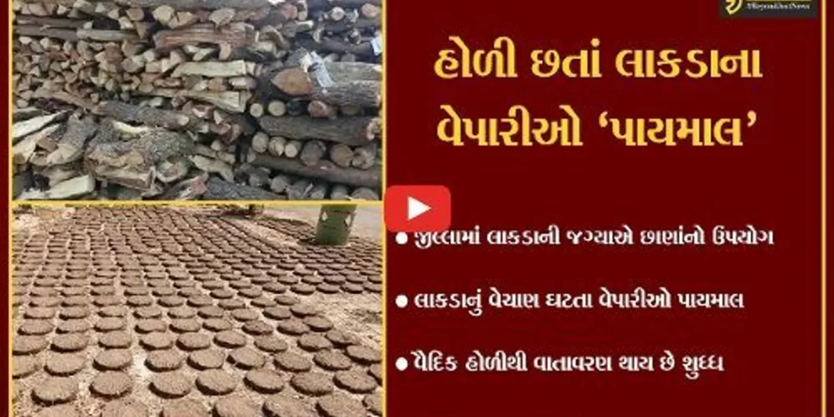 ભરૂચ: પર્યાવરણના જતન માટે વૈદિક હોળીને લઈ લાકડાનું વેચાણ ઘટ્યું, વેપારીઓ પાયમાલ થયા.