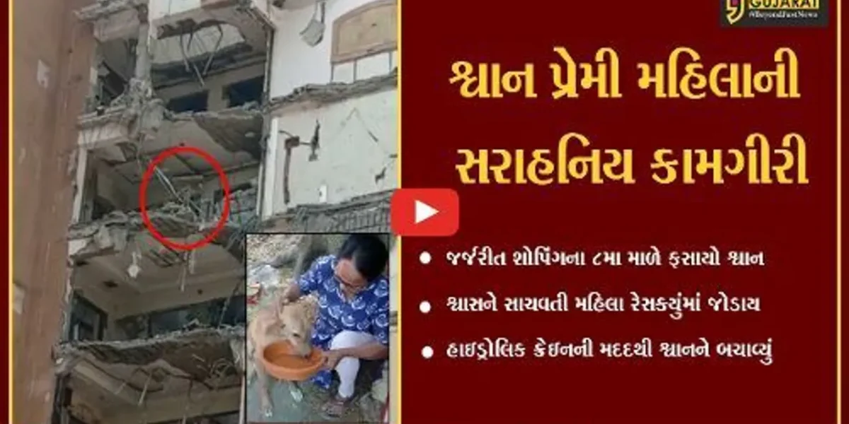 સુરત : જર્જરીત ઈમારતના 8મા માળે ફસાયેલ શ્વાનને હેમખેમ બચાવાયો, જુઓ દિલધડક “LIVE” રેસક્યું…